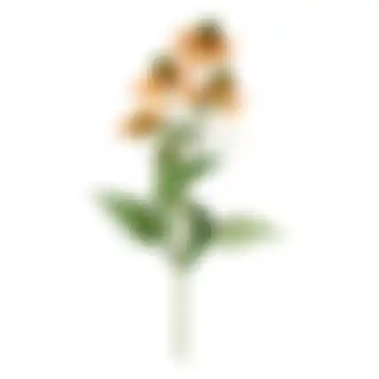 Bloem Rudbeckia oranje 73cm