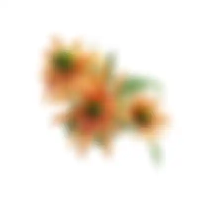 Bloem Rudbeckia oranje 73cm