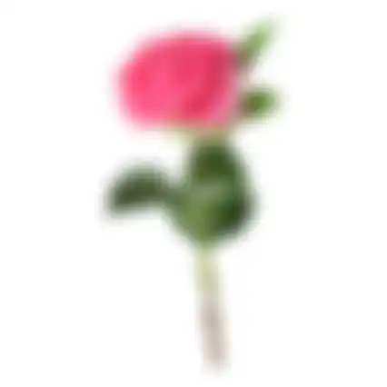 Bloem Peony roze 67cm