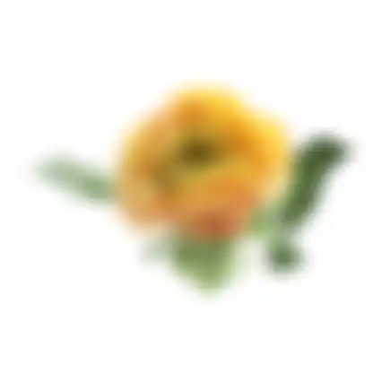 Bloem Peony geel 67cm