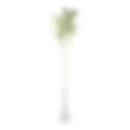 Tak Sofie 70 cm groen