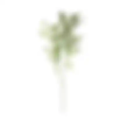 Tak Sofie 70 cm groen