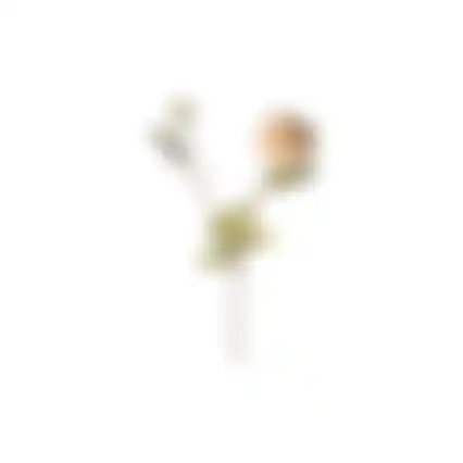 Tak Chrysanthemen 73cm 2ass