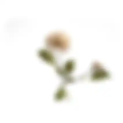 Tak Chrysanthemen 73cm 2ass