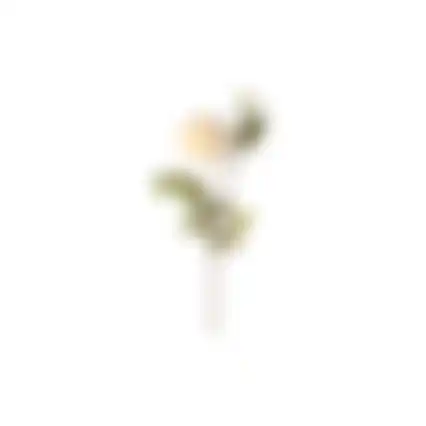 Tak Chrysanthemen 73cm 2ass