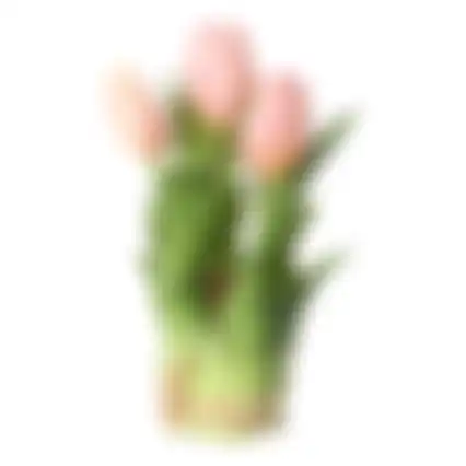 Tulp bosje licht roze 20cm