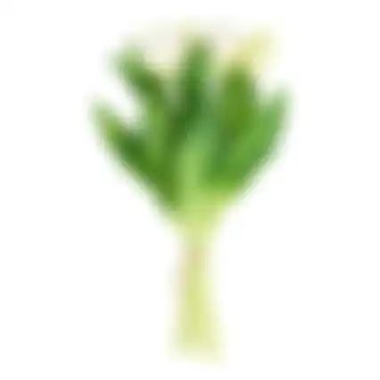 Tulp sil touch 32cm wit