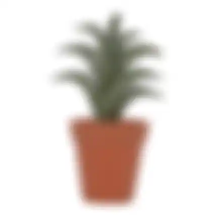 Vetplant in pot 4ass