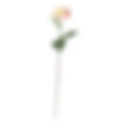 Dahlia op steel creme 75cm