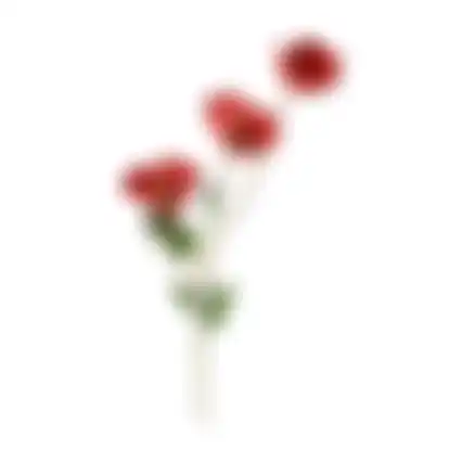Klaproos rood 71cm