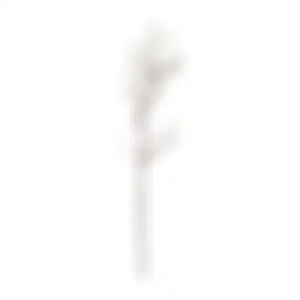 Wilgentak groen 106cm