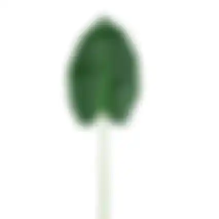 Tak Philo groen bont 78cm
