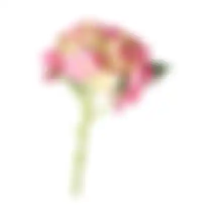 Hortensia 31cm roze