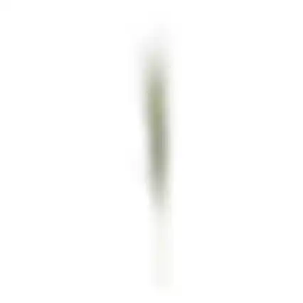 Bundel gras smal 112cm groen