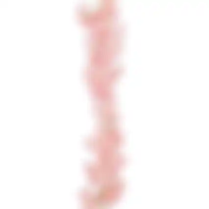 Slinger bloesem roze 180cm