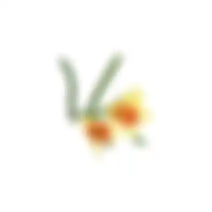 Paasbloemen 58cm geel 6 ass