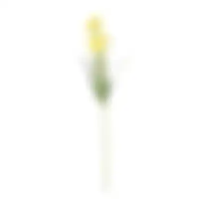 Paasbloemen 58cm geel 6 ass