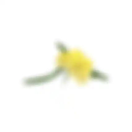 Paasbloemen 58cm geel 6 ass