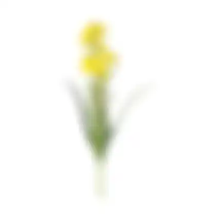 Paasbloemen 58cm geel 6 ass