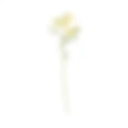 Paasbloemen 58cm geel 6 ass