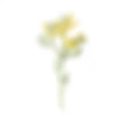 Paasbloemen 58cm geel 6 ass