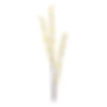 Paasbloemen 58 cm geel, 6 assorti