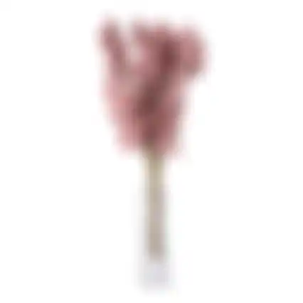 Besjes roze 25 cm