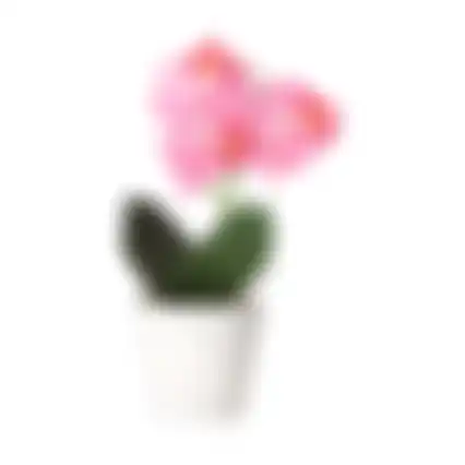 Phalaenopsis in pot wit roze perzik 3 ass