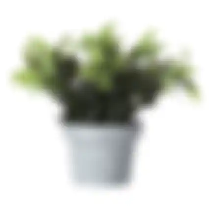 Bloem in pot 28cm 3ass