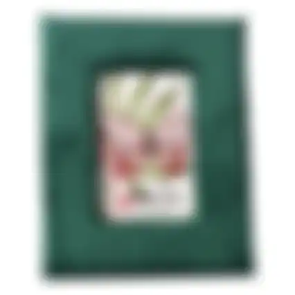 Kader fluweel dgroen 24x19cm