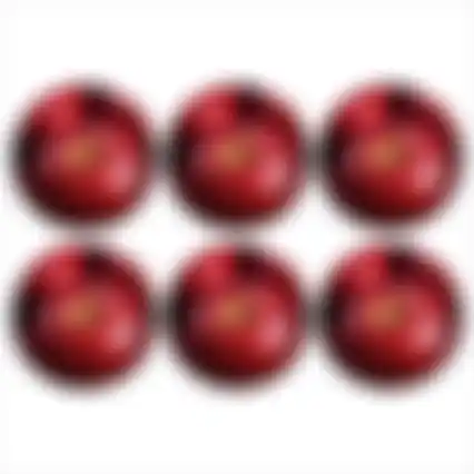 Onderzetter rond fruit 10cm 6ass nc