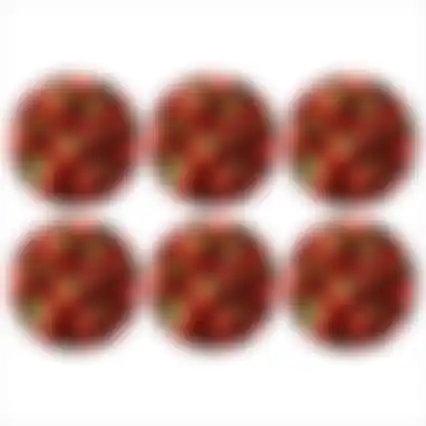 Onderzetter rond fruit 10cm 6ass nc