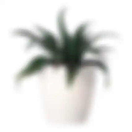 Mini vetplant deco 15cm ass