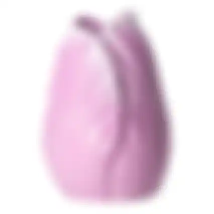 Vaas tulp paars 20cm