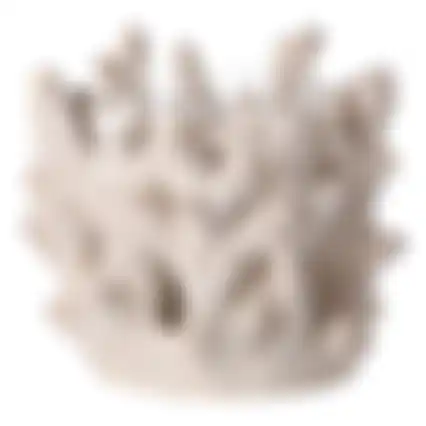 Kaarshouder koraal polyresin 9x9x8cm nc 2ass