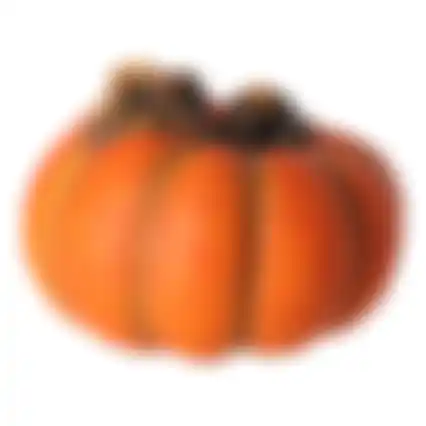 Pompoen deco 11cm oranje