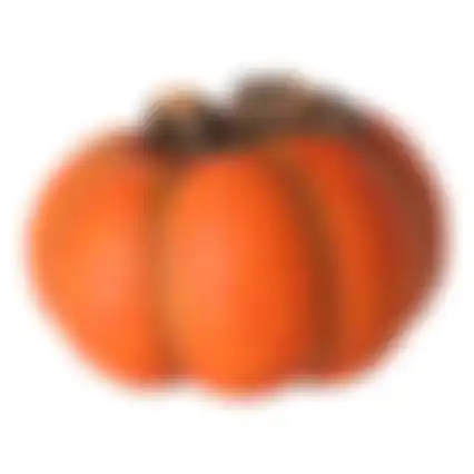 Pompoen deco 11cm oranje
