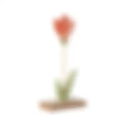 Standaard Blumi 21cm 3ass