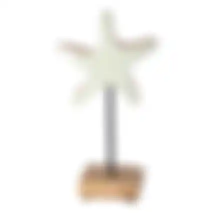 Ster op voet 20cm nc