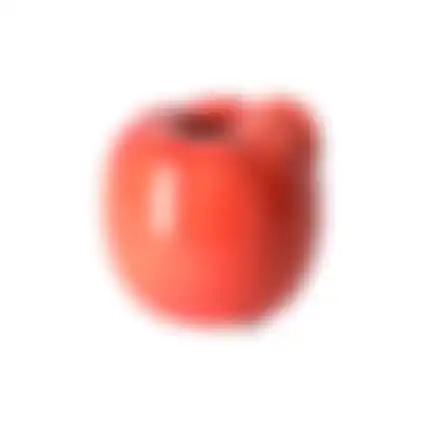 Vaas appel keram rood 9cm nc
