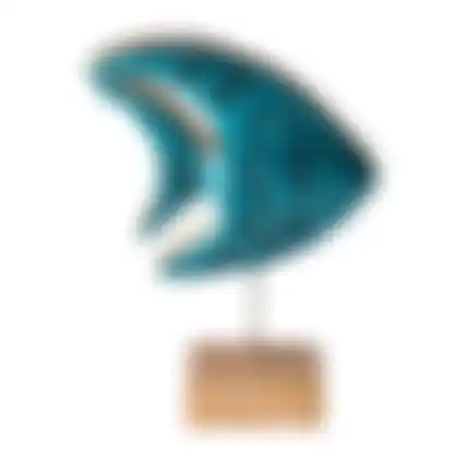 Vis op voet 18cm blauw nc