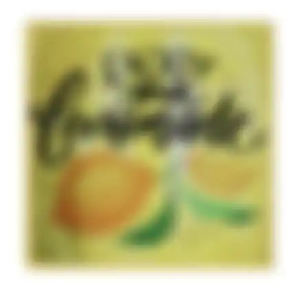 Onderzetter vierkant citrus 15cm 6ass nc