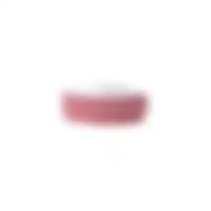 Verpakkingslint 4m roze mix 10ass