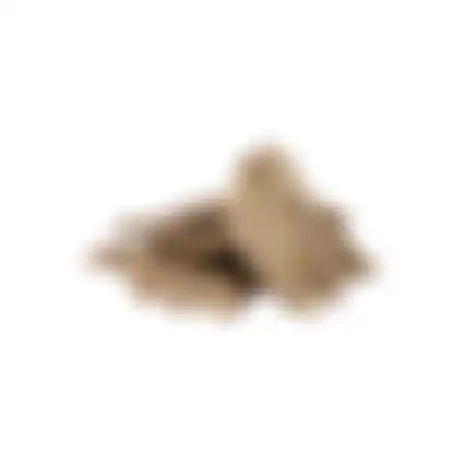 Berk 300g goud NC