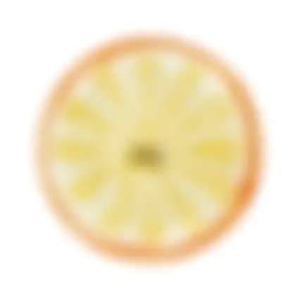 Schaal citrus 30cm