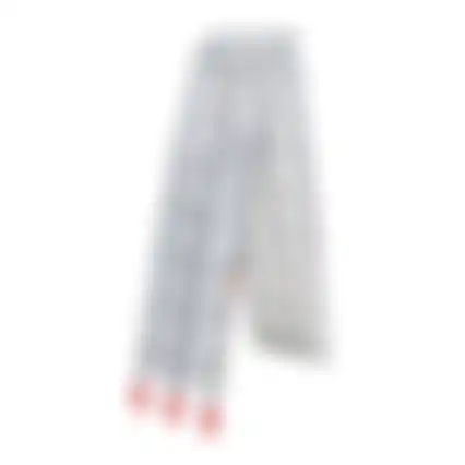 Oprijplaat opvouwbaar 220x29,5 1st