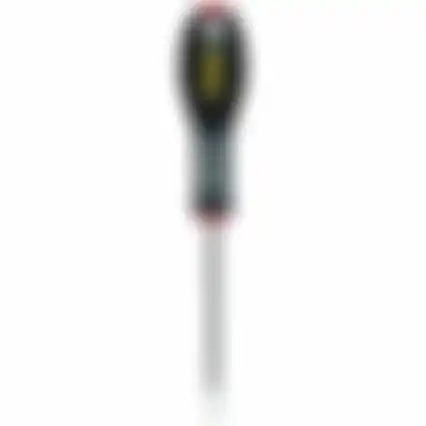 Schroevendr ST 5,5x100 0-65-098 FM