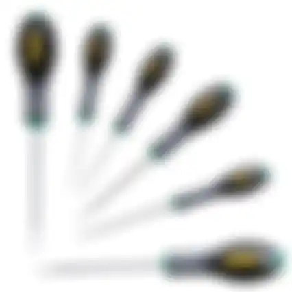 Schroevendr torx 6dlg 0-65-099 FM