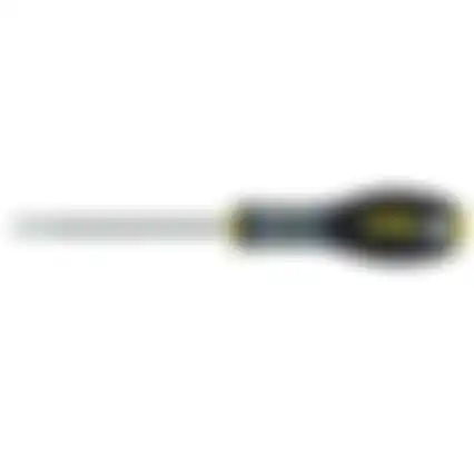 Schroevendr PH 1x100 0-65-207 FM