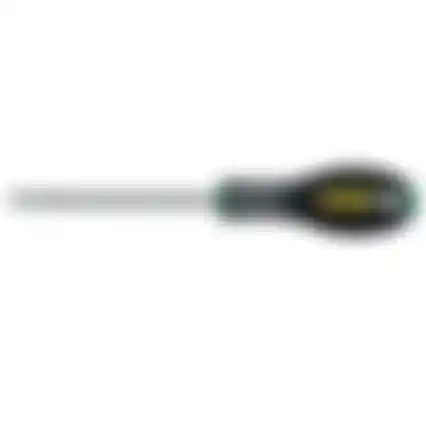 Schroevendr TT 40x125 0-65-399 FM